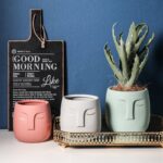 Pot de Fleurs Décoratif en Céramique de Style Nordique