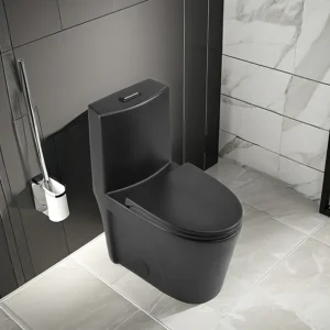Toilette Noire en Céramique de Salle de Bain